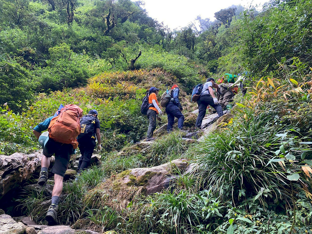 Những cánh rừng bạt ngàn đang đợi bạn khám phá